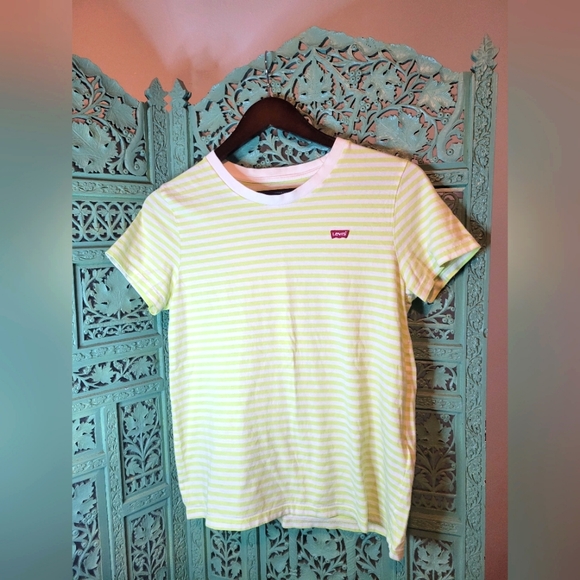 Levi | Perfect Crew Striped Tee | Lime Green & Cream Striped | Size Small - Picture 3 of 9